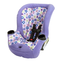 Preview: Cosco Apt 40RF