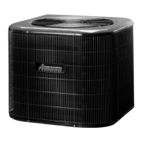 Preview: Amana RCE Prestige