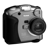 Preview: Kodak DC290