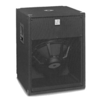 Preview: Electro-Voice T18