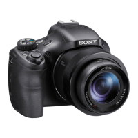 Preview: Sony Cyber-shot DSC-HX400
