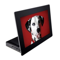 Preview: Kodak Digital Photo Frame