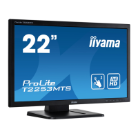 Preview: Iiyama ProLite T2253MTS