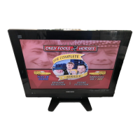 Preview: Orion TV19PL120DVD