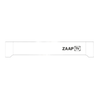 Preview: ZaapTV HD509N