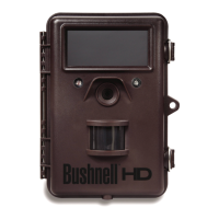 Preview: Bushnell 119437
