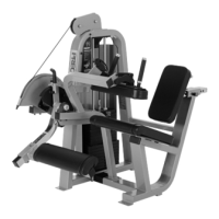 Preview: Precor Icarian Line