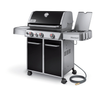 Preview: Weber Genesis 54406