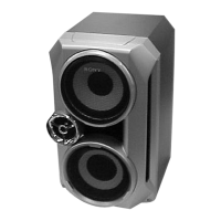 Preview: Sony SS-RG66