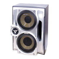 Preview: Sony SS-RV20