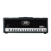 Preview: Peavey 6505+