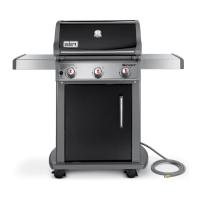 Preview: Weber Spirit 54265