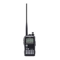 Preview: Icom IC-E92D
