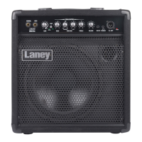 Preview: Laney RB2