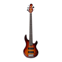 Preview: Yamaha BBG5S