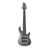Preview: Yamaha TRB-6II