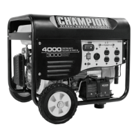 Preview: Champion 46555