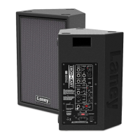 Preview: Laney IRT-X