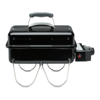 Preview: Weber Go-Anywhere