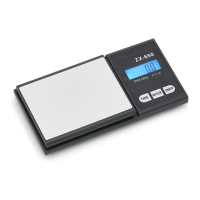 Preview: Fast Weigh Scales ZX-650