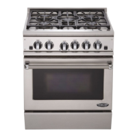 Preview: Fisher & Paykel RGT-305
