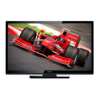 Preview: Magnavox 50ME313V