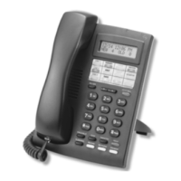 Preview: ESI 24-Key Feature Phone