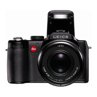 Preview: Leica V-LUX 1