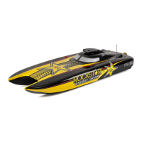 Preview: ProBoat Rockstar 48