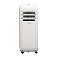 Preview: Ecoair ECO8P