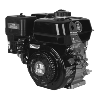 Preview: Power Fist 208 cc