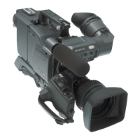 Preview: Sony DXC-D50