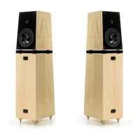 Preview: Verity Audio Rienzi