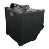 Preview: Peavey Nano Vypyr