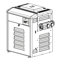 Preview: Jandy LRZ Electronic