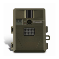 Preview: Infrared Xtreme TGLX8IR Series