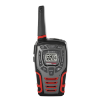 Preview: Cobra microTALK CXT595