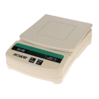 Preview: Acculab GSI-200