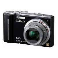 Preview: Panasonic DMC-TZ10