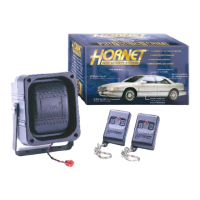 Preview: Hornet 719T