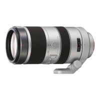 Preview: Sony SAL70300G
