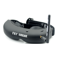 Preview: Fat Shark PC Vision systems