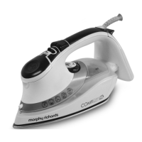 Preview: Morphy Richards Iron