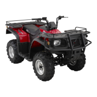 Preview: Baja motorsports WD250UR