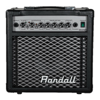 Preview: Randall RX15