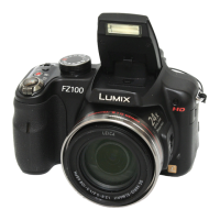Preview: Panasonic Lumix DMC-FZ100P