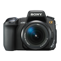 Preview: Sony DSLR-A350