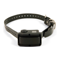 Preview: SportDOG NoBark 10R