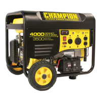 Preview: Champion 46565