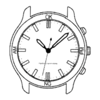 Preview: Crane & Viceroy Watch